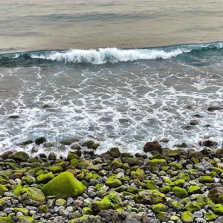 Home2book El Encanto De La Torre I