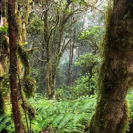 Lägenhet Home2book El Encanto De La Torre I *