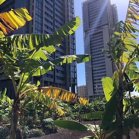Home2book El Encanto De La Torre I Lägenhet Santa Cruz de Tenerife