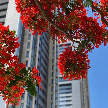 Home2book El Encanto De La Torre I *