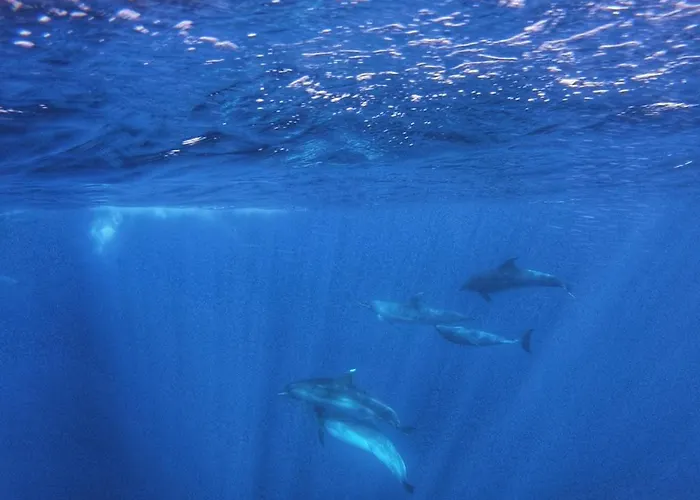 Home2book El Encanto De La Torre I *