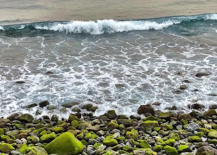 Home2book El Encanto De La Torre I