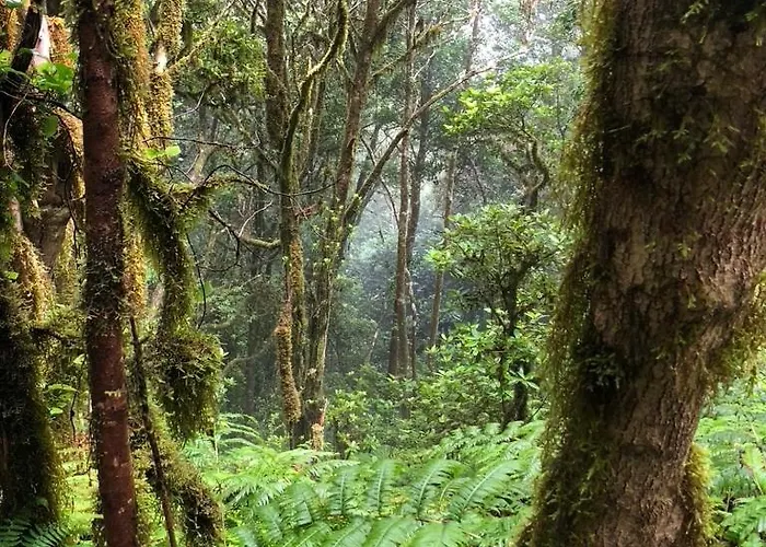 Διαμέρισμα Home2book El Encanto De La Torre I *