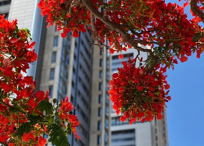 Home2book El Encanto De La Torre I *