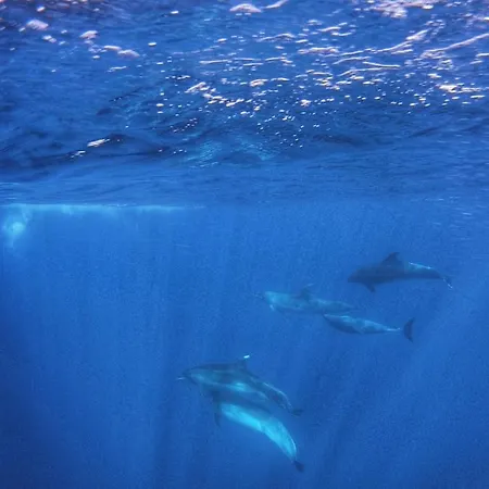 Home2book El Encanto De La Torre I *