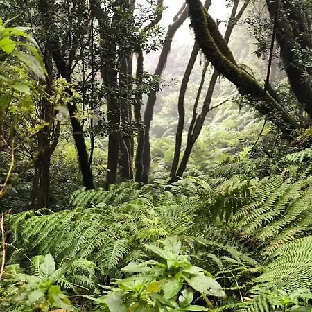 Home2book El Encanto De La Torre I * Santa Cruz de Tenerife
