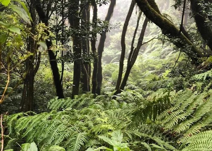 Home2book El Encanto De La Torre I * Санта-Крус-де-Тенерифе